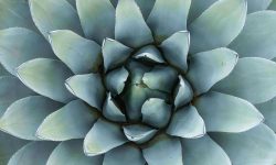 Ostéo-Rebouteux briançonnais hautes alpes